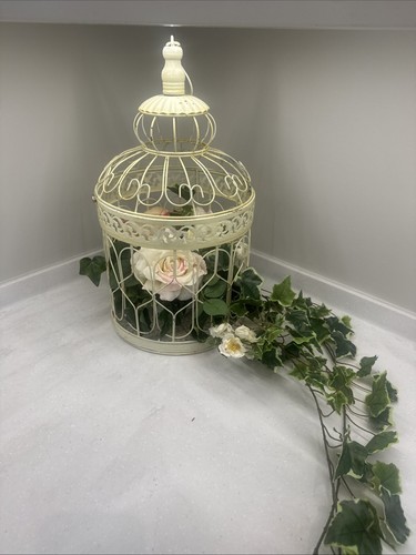 Bird cage for weddings - bird,