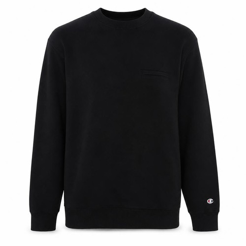 Champion mens pullover - champion,
