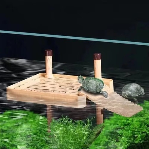 Turtle basking platform - turtle,