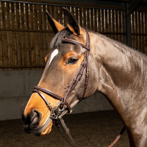 John whitaker valencia premium - whitaker,