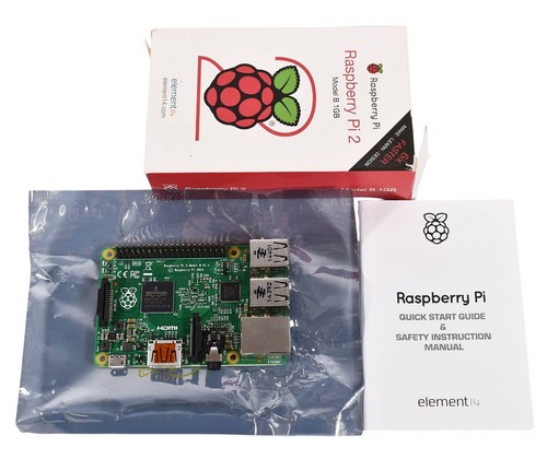 Raspberry model b - raspberry,