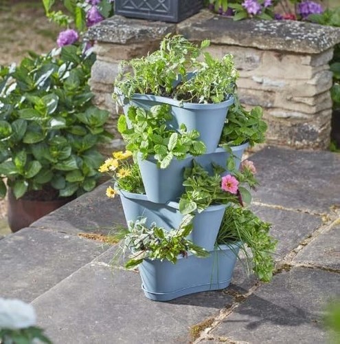 Stacking garden plant - stacking,