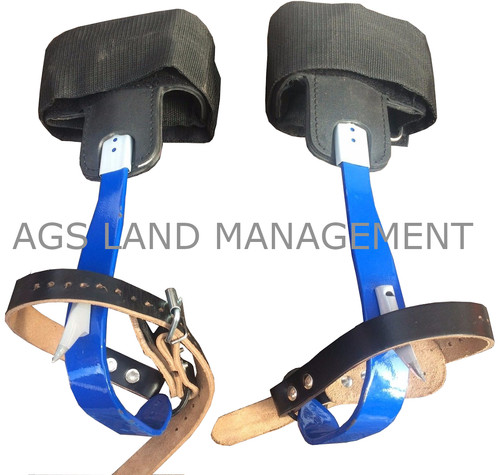Tree climbing spikes - tree,