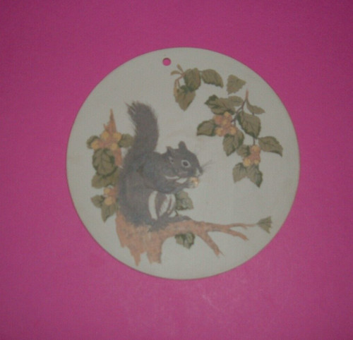 Hornsea grey squirrel - hornsea,,