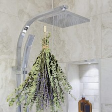 Natural Dried Eucalyptus Stems