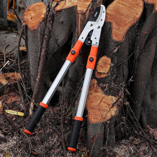 Extendable anvil loppers tree - loppers,