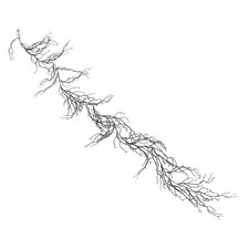 Halloween Willow Branches: Artificial Branches - Plastic Bendable