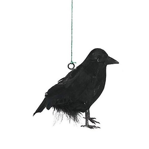 3pcs halloween crow - halloween, feather