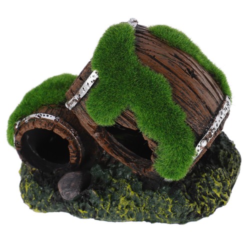 Tarantula enclosure - tarantula,