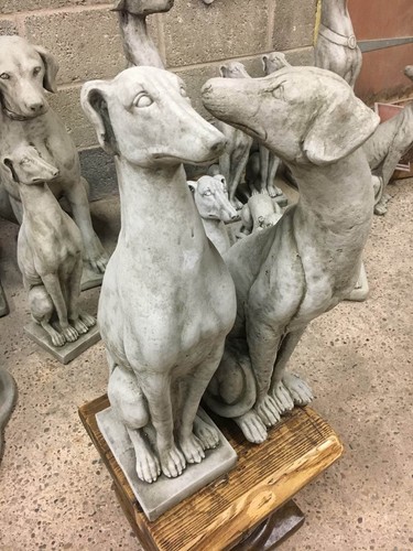 Greyhound saluki garden - (new), greyhound/saluki