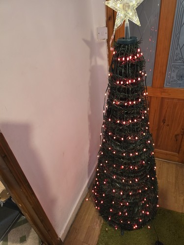 Christmas tree indoor - tree, outdoor