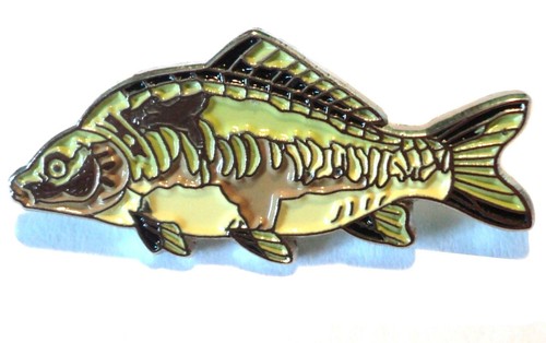 Mirror carp freshwater game - mirror,