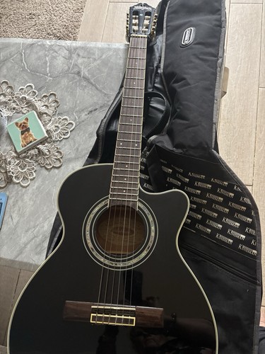 Washburn guitar acoustic - washburn,