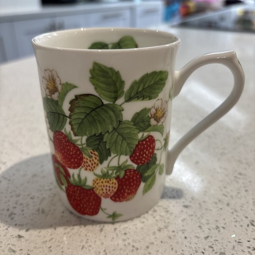 Strawberry fruit garden - fruit, garden’