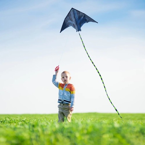 Yongjian large delta kite - 2m,