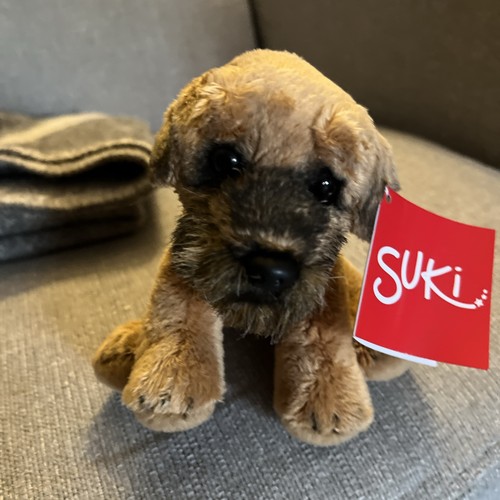 Suki border terrier - ,