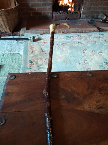 Rams horn shepherds crook - rams,