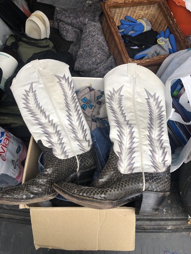 Larry mahan snake skin - mahan, boots