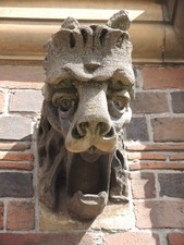 Photo A2 A fierce face Arno's