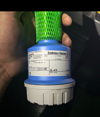 Endress+Hauser