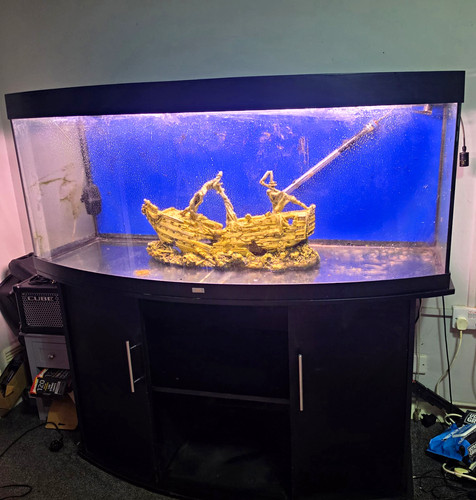 Bowfront glass aquariumjuwel - bowfront,