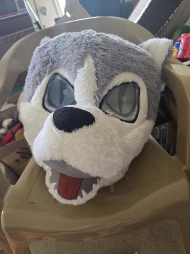 Gray white wolf dog full - gray,
