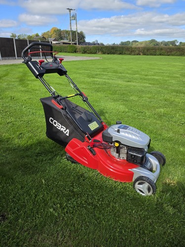 Cobra self propelled - propelled, petrol