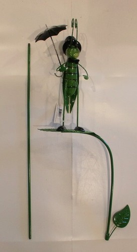 Large grasshopper with - grasshopper,