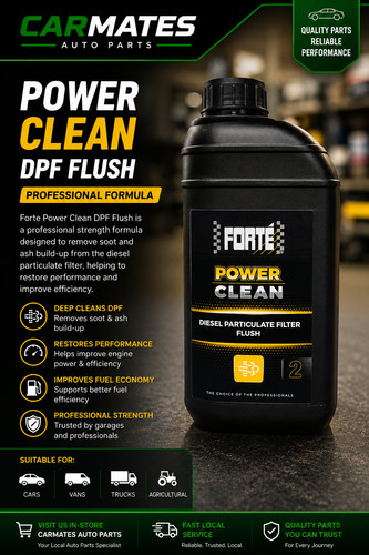 Forte power clean dpf - dpf, flush