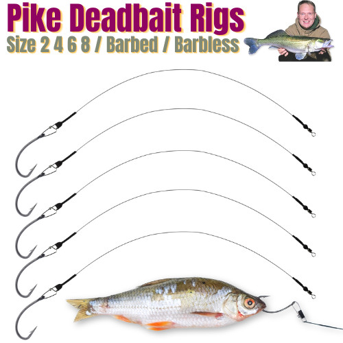 Pike zander deadbait live - zander,