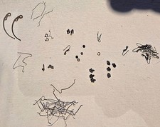 Seiko 6139 6138 movement