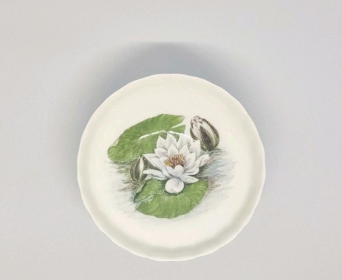 Vintage 50s aynsley - aynsley, 209