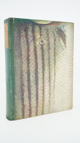 1905 the basses fresh - fresh-water, &
