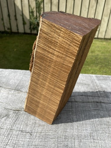 Laburnum log 8kg - laburnum, 2.8kg