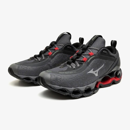 Mizuno wave prophecy 2 - mizuno,
