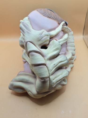 Alien predator 2004 face - ,