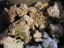 Sump rubble Marine Reef Cured