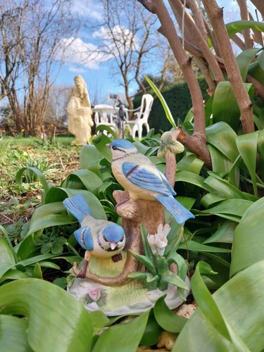 Alfretto porcelain collector - porcelain,