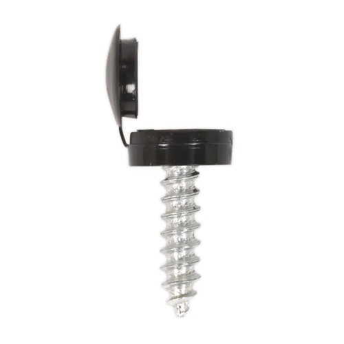Sealey number plate screw - number,