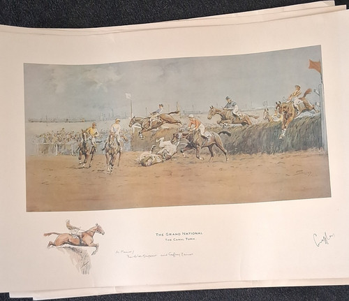 Grand national horse racing - grand,
