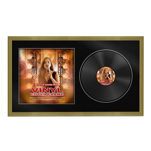 30x17 vinyl record album cover - 30x17,