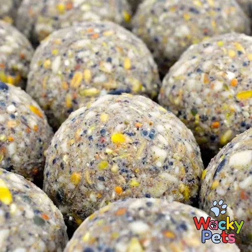 Fat balls for - fat, birds