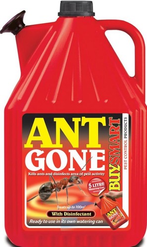 Buysmart ant gone ready to - buysmart,