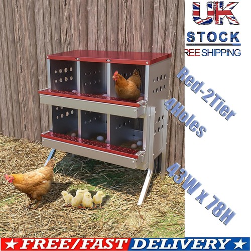 Compartment chicken nesting - chicken,