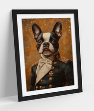 BOSTON TERRIER IN VINTAGE