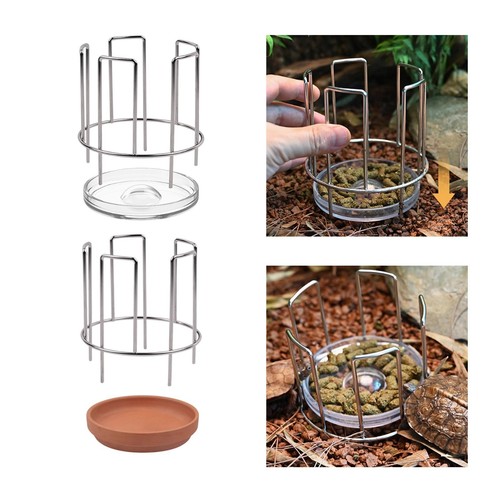 Turtle feeding tray decorative - feeding,