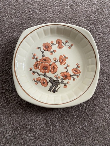Royal worcester palissy - royal,