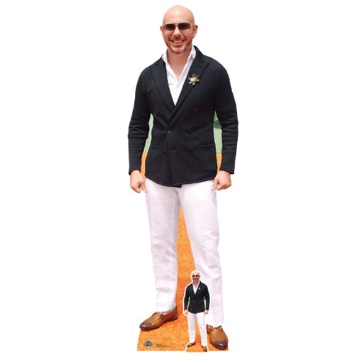 Pitbull lifesize cardboard - pitbull,