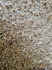 Genuine Whiskey Oak Wood