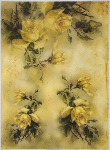 Printed translucent vellum - printed,